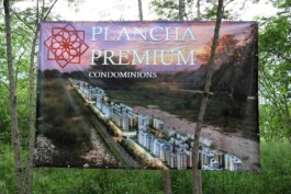cachorraproyecto.mx