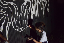 cachorraproyecto.mx