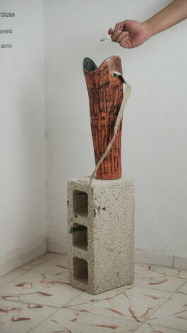 cachorraproyecto.mx