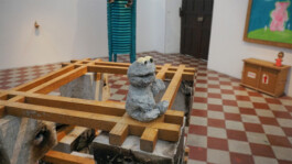 cachorraproyecto.mx