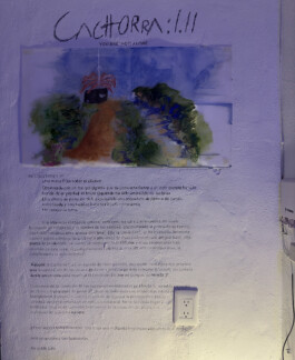 cachorraproyecto.mx