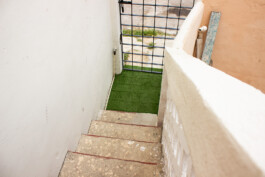 cachorraproyecto.mx